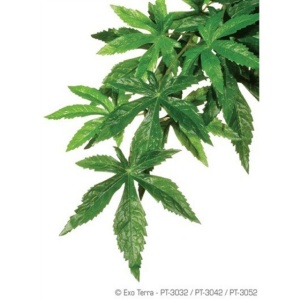 Plante terariu, Exo Terra, Abutilon Medium 55 CM, PT304255