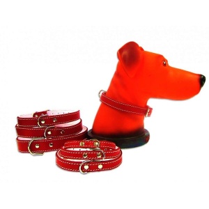 Zgarda pentru caine, Pet Expert, Pasla, 2,5 x 55 CM, Rosu, NR.6