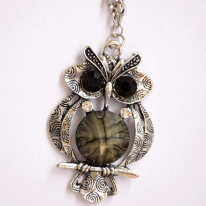 Colier lung cu pandantiv bufnita, model Bright owl, argintiu