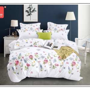Lenjerie de pat matrimonial Casa New Concept