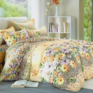 Lenjerie de pat matrimonial Classic New Casa ( stoc limitat )