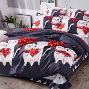 Lenjerie de pat matrimonial New Fashion Collection