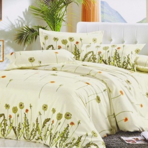 Lenjerie de pat matrimonial Casa New Concept ( stoc limitat )