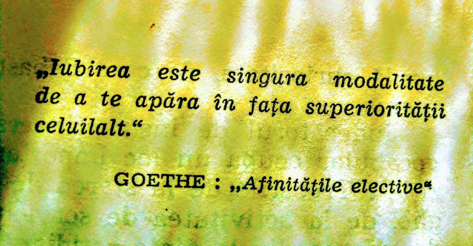 Goethe se năștea acum 270 de ani