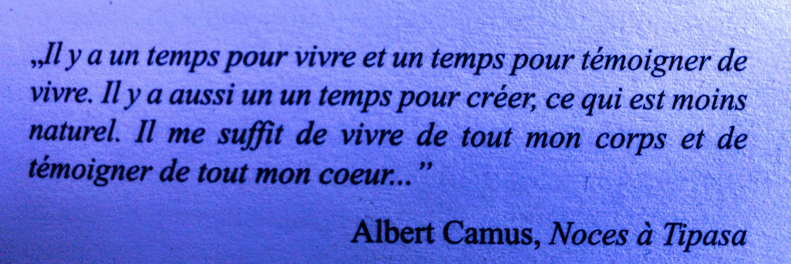 Albert Camus Albert Camus