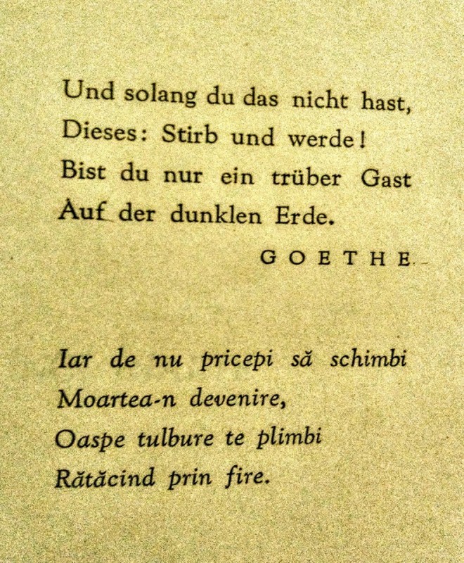 Despre Goethe într-o zi ploioasă