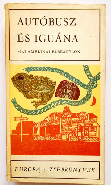 Autobusz es iguana - Mai amerikai elbeszelok