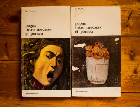 Ion Frunzetti - Pegas intre Meduza si Perseu (Galceava si impacarea vazului cu lumea. Forma si semn) (2 vol.)