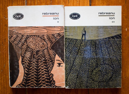 Liviu Rebreanu - Ion (2 vol.)