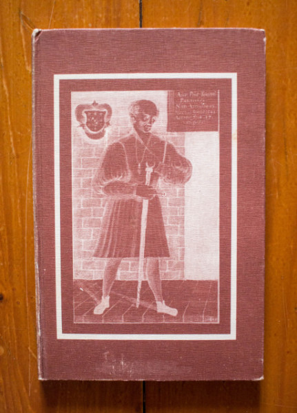 Mihai Neagu Basarab - Paracelsus. Calatorie neintrerupta (editie hardcover)