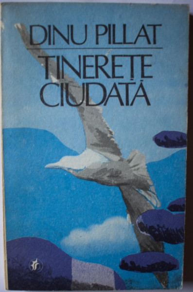 Dinu Pillat - Tinerete ciudata