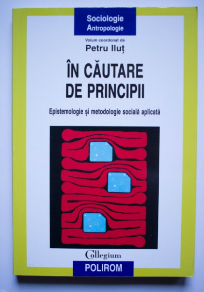 Petru Ilut - In cautare de principii. Epistemologie si metodologie sociala aplicata