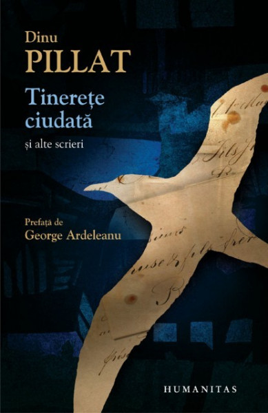 Dinu Pillat - Tinerete ciudata si alte scrieri