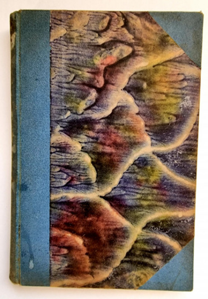 Ion Ionescu Boteni - Din satul nostru. Nuvele si Schite (editie hardcover, antebelica, frumos relegata)
