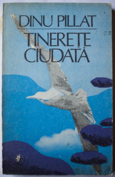 Dinu Pillat - Tinerete ciudata