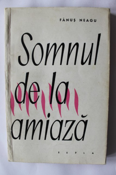 Fanus Neagu - Somnul de la amiaza