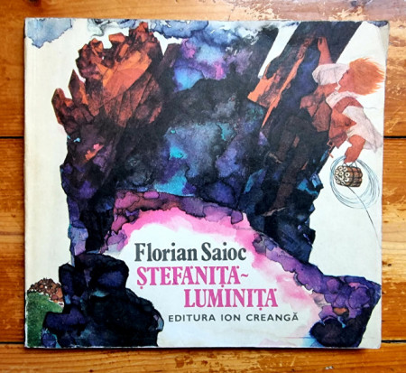 Florian Saioc - Stefanita-Luminita