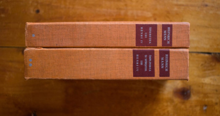 Heinrich Mann - Tineretea lui Henri IV. Implinirea si sfarsitul lui Henri IV (2 vol., editie hardcover)