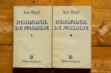 Ion Brad - Romanul de familie (2 vol.)