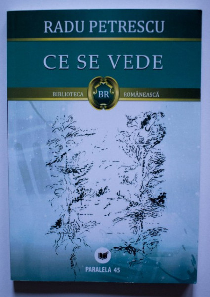 Radu Petrescu - Ce se vede
