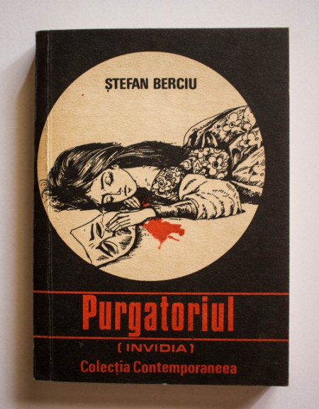 Stefan Berciu - Purgatoriul