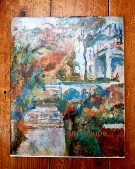 Mircea Deac - Aurel Ciupe (editie bilingva, romano-engleza, hardcover)