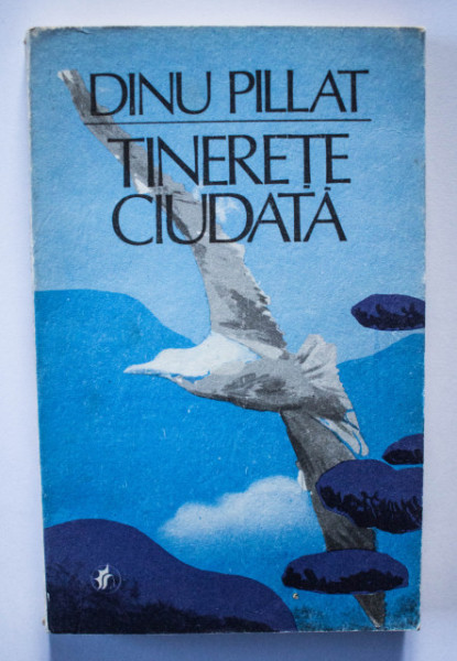 Dinu Pillat - Tinerete ciudata