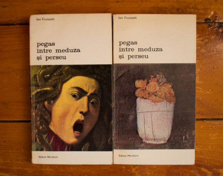 Ion Frunzetti - Pegas intre Meduza si Perseu (Galceava si impacarea vazului cu lumea. Forma si semn) (2 vol.)
