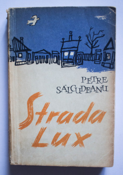 Petre Salcudeanu - Strada lux