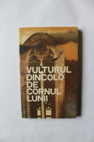 Rodica Ojog-Brasoveanu - Vulturul dincolo de cornul lunii