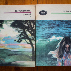 B. Fundoianu - Poezii (2 vol.)