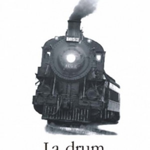 Graham Greene - La drum cu matusa mea