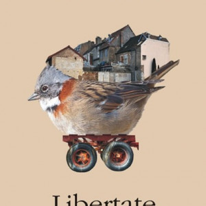 Jonathan Franzen - Libertate
