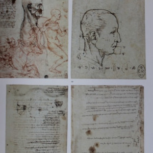 Leonardo da Vinci - The Complete Paintings and Drawings (album in limba engleza)