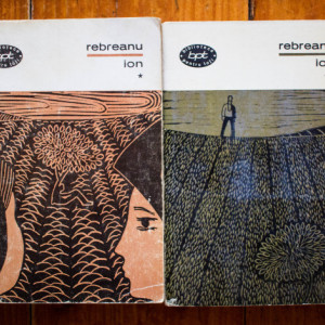Liviu Rebreanu - Ion (2 vol.)