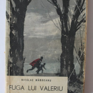 Nicolae Margeanu - Fuga lui Valeriu