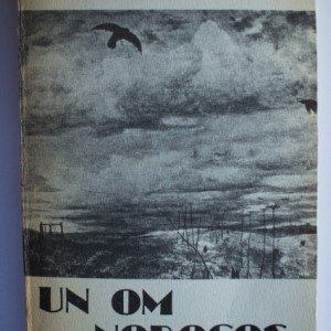 Octavian Paler - Un om norocos