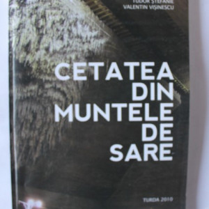 Ovidiu Mera, Tudor Stefanie, Valentin Visinescu - Cetatea din muntele de sare