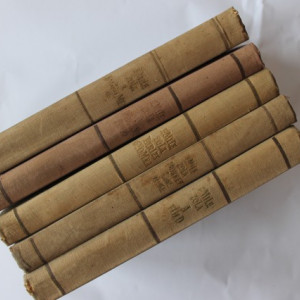 Pachet Emile Zola - A fold. Mouret abbe vetke. A kegyelmes ur. A patkanyfogo. Parizs gyomra (5 vol., editie hardcover)