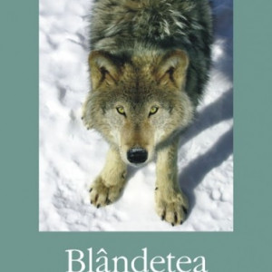 Stef Penney - Blandetea lupilor