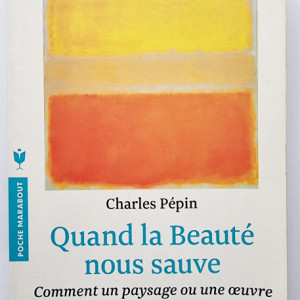 Charles Pepin - Quand la Beaute nous sauve