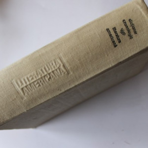 Dan Grigorescu - Dictionar cronologic. Literatura americana (editie hardcover)