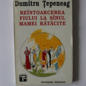 Dumitru Tepeneag - Reintoarcerea fiului la sanul mamei ratacite