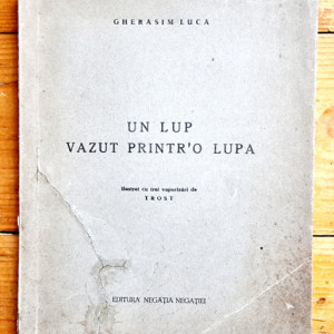 Gherasim Luca - Un lup vazut printr'o lupa. Ilustrat cu trei vaporizari de Trost