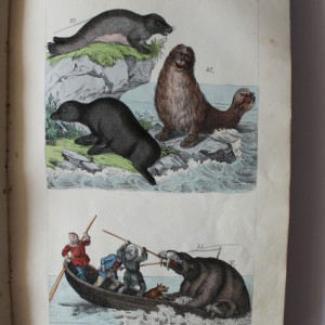 Hanak Ker. Janos - Termeszetrajz vagyis (editie hardcover, 1846)