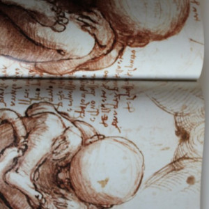 Leonardo da Vinci - The Complete Paintings and Drawings (album in limba engleza)