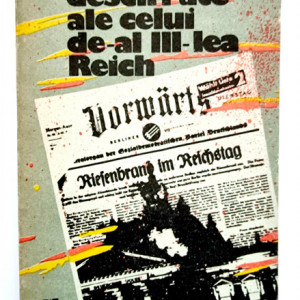 Lev Bezimenski - Enigme descifrate ale celui de-al III-lea Reich