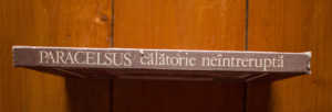 Mihai Neagu Basarab - Paracelsus. Calatorie neintrerupta (editie hardcover)