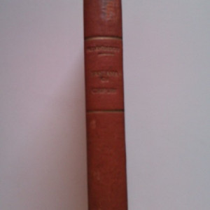 N. Davidescu - Fantana cu chipuri (editie hardcover, frumos relegata)