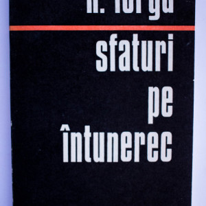 N. Iorga - Sfaturi pe intunerec